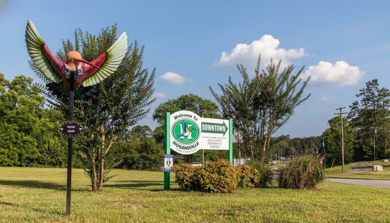 Hero for Home Services Options